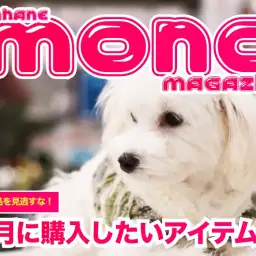 【 ホンハネモノマガジン 】12月に購入したい冬グッズ3選