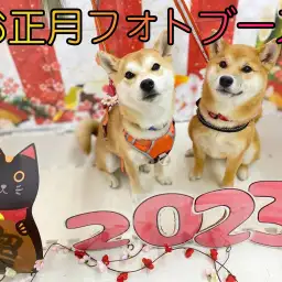 【 正月フォト 】大好評のフォトブースでお正月の記念写真を撮ろう！