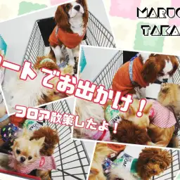 【 高井戸ベイビーズ 】プチ遠足&オリンピック高井戸店併設の病院も紹介