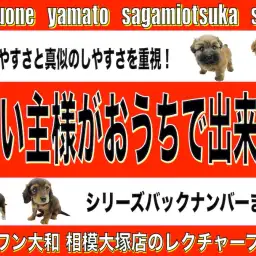 【 おうちで出来る 】プロも実践！初心者でも分かる、真似できるペットのアレコレ