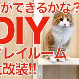 【 DIY 】久しぶりのDIY番長!プレイルーム大改装!!!何ができるかな??