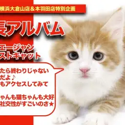 【 ノルちゃん の成長アルバム】社交性が凄すぎると話題のノルちゃんの成長記!