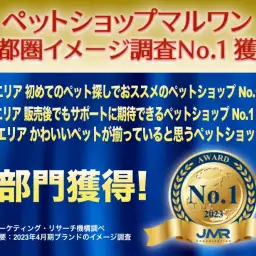 【 イメージ調査 】2023年4月首都圏エリアリサーチにおいてマルワンが3部門のNo.1を獲得!