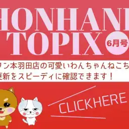 【 HONHANE トピックス6月号 】マルワン本羽田店の6月の情報をチェック!