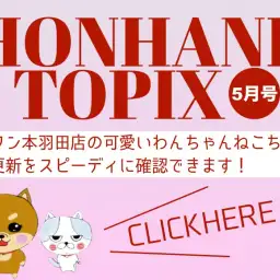 【 HONHANE トピックス5月版 】マルワン本羽田店の5月の情報配信を確認！