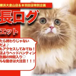 【 おミヌちゃんの成長アルバム 】コミカルな動き炸裂なおミヌちゃんの成長期!