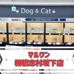 【 マルワン店舗紹介 】ここに来れば何でも揃う!オリンピック志村坂下店をマルっとご紹介!