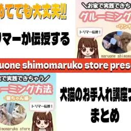 【 お手入れレクチャー 】これで安心!トリマー伝授!犬猫の手入れ方法ブログまとめ