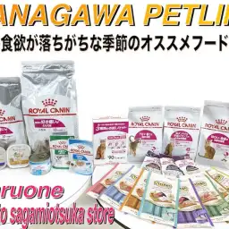 【 神奈川ペットライフ 】ワンちゃん＆ネコちゃんの食欲減退の季節にオススメフード