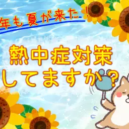 【 商品レビュー 】今年も猛暑！わんちゃんねこちゃんの熱中症対策！！