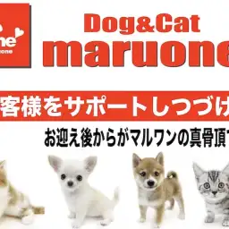 【 サポート 】業界屈指!マルワンの真骨頂はお客様を徹底サポートしつづけること。