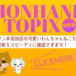 【 HONHANE トピックス8月号 】マルワン本羽田店の8月の情報配信！