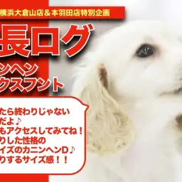 【 カニンヘンちゃんの成長記アルバム 】おっとりまったりなカニンヘンちゃんの成長記!