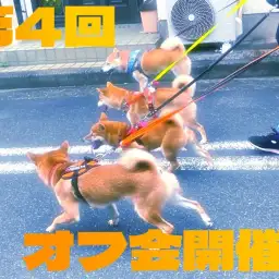 【 オフ会 】第4回目オフ会!半年ぶりの開催!一緒に秋の訪れを感じよう!