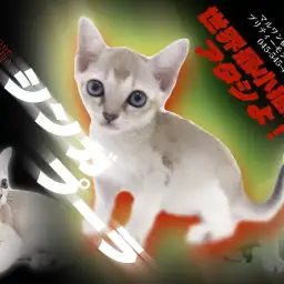 【 シンガプーラ 】コミカル度MEGAMAX！プリティーモンスターが横浜に現る！