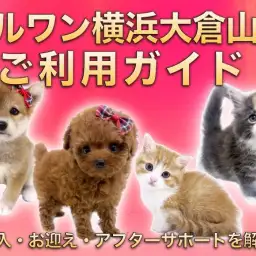 【 横浜大倉山店ご利用ガイド 】ご契約・お迎え・アフターサポートをご紹介!