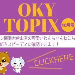 【 OKURAYAMA トピックス10月版 】マルワン大倉山店の10月の情報配信を確認!