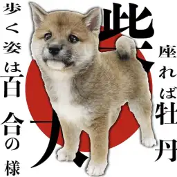 【 柴犬 】花の様に逞しく凛々しい、日本屈指の和の心を持つ犬は私で間違いなし!