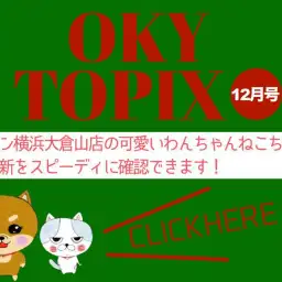 【 OKURAYAMA トピックス12月版】マルワン大倉山店の12月の情報配信を確認!
