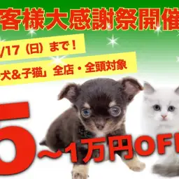 【 お客様大感謝祭開催 】マルワンサンタからの特別なプレゼント！