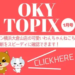 【 OKURAYAMA トピックス1月版】マルワン大倉山店の1月の情報配信を確認!