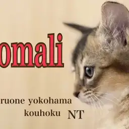 【 ソマリ 】可愛いお顔と声の持ち主!ルディカラーの美ボディさん
