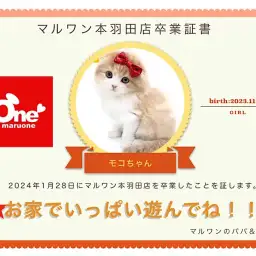 【 卒業記念 】スコちゃん卒業おめでとう！スタッフママよりお祝いの言葉〜卒業ブログ〜