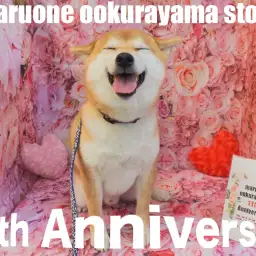【 11周年 】総勢36頭がお祝いに駆けつけてくれた大倉山店11歳の誕生日!