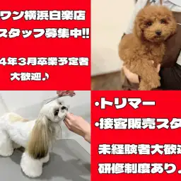 【 スタッフ募集 】マルワン横浜白楽店トリマー、接客販売スタッフ募集!