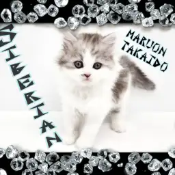 【 サイベリアン 】シルバータビーのゴージャスボディな癒し系ニャンコ登場！