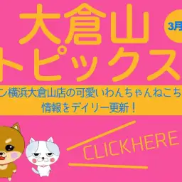 【 OKURAYAMA トピックス3月版】マルワン大倉山店の3月の情報配信を確認!