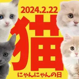 【 にゃんにゃんの日 】2.22はにゃんにゃんの日!大倉山店のカワイコちゃんを紹介!