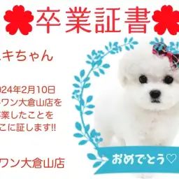 【卒業証書】ゆきちゃん卒業おめでとう!!スタッフママより愛を込めて!