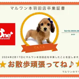 【 卒業記念 】テンくん卒業おめでとう！スタッフママよりお祝いの言葉〜卒業ブログ〜