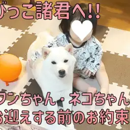【 ちびっこ諸君へ 】お子様がいるご家庭でペットちゃんをお迎えする前のお約束!