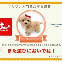 【 卒業記念 】リリーちゃん卒業おめでとう！今までの感謝を込めて〜卒業ブログ〜