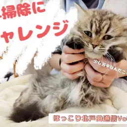 【 ほっこり北戸田通信Vol.24 】苦手を克服チャレンジ!