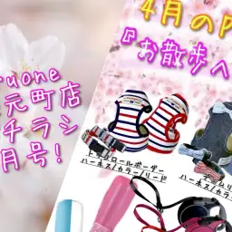 【 商品レビュー 】横浜元町店WEBチラシ4月号!