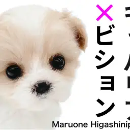 【 キャバション 】100年に一度の美女!?ご家族決定爆速の必見MIXちゃん