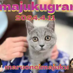 【 イマジュクグラム 】無防備な癒し系ブリティッシュちゃまのお昼寝姿を大公開!