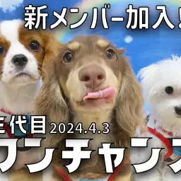 【 三代目ワンチャンズ 】新メンバーのきゃばりんが仲間入り!