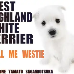 【 ウェストハイランドホワイトテリア 】純白の被毛のテリア種!通称ウェスティ!