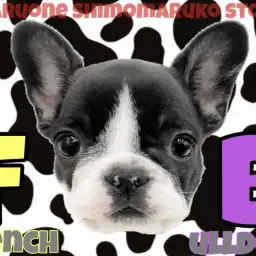 【 フレンチブルドック 】極上のたるみは都内No.1!個性と感情が溢れる女の子