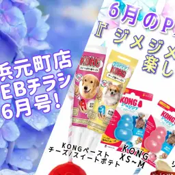 【 商品レビュー 】横浜元町店WEBチラシ6月号！