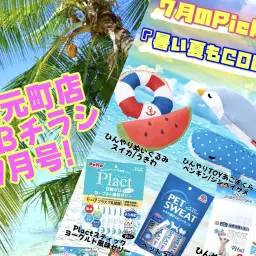 【 商品レビュー 】楽しい夏をCOOLに過ごそう!【WEBチラシ7月号】