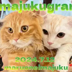 【 イマジュクグラム 】短足マンチカンちゃまと仲良しな垂れ耳スコティッシュちゃま