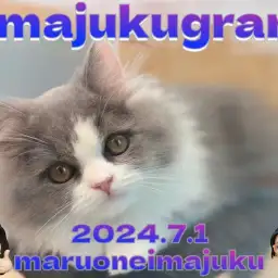 【 イマジュクグラム 】超童顔に癒される生後3ヶ月のラガマフィンちゃまの最新動画