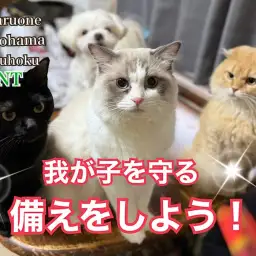 【 お役立て情報 】守れるのは飼い主さんだけ！あると安心防災グッズ