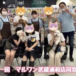 【 さいたま武蔵浦和店同窓会 】愛犬との絆の結び方レクチャーとお悩み相談！