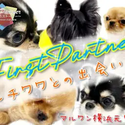 【 ファーストパートナー 】マルワン横浜元町店スタッフ古満の1番の推しをご紹介！